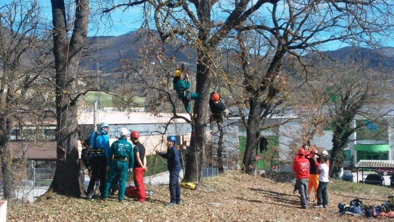 CORSO TREE CLIMBING E CORSO FUNI ARTIFICIALE